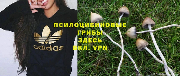 МДПВ Куйбышев