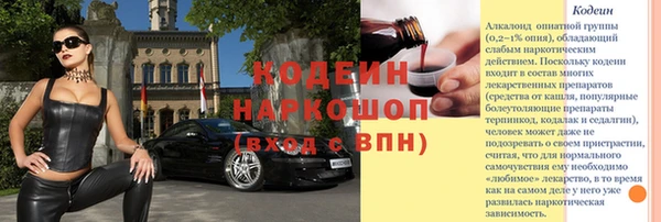молекула духа Кулебаки
