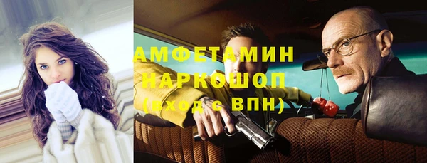 молекула духа Кулебаки