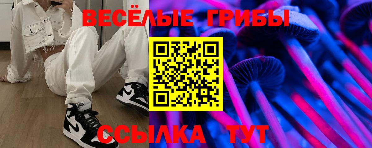 Псилоцибиновые грибы прущие грибы  Псилоцибиновые грибы GOLDEN TEACHER  даркнет сайт  Вход с VPN  Сызрань 